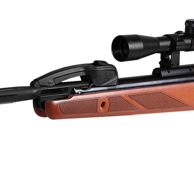 Gamo Fast Shot