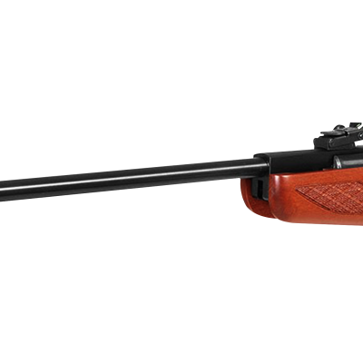Gamo Hunter 1250 Pro