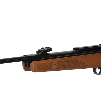 Gamo Hunter 440